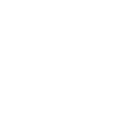 icone map