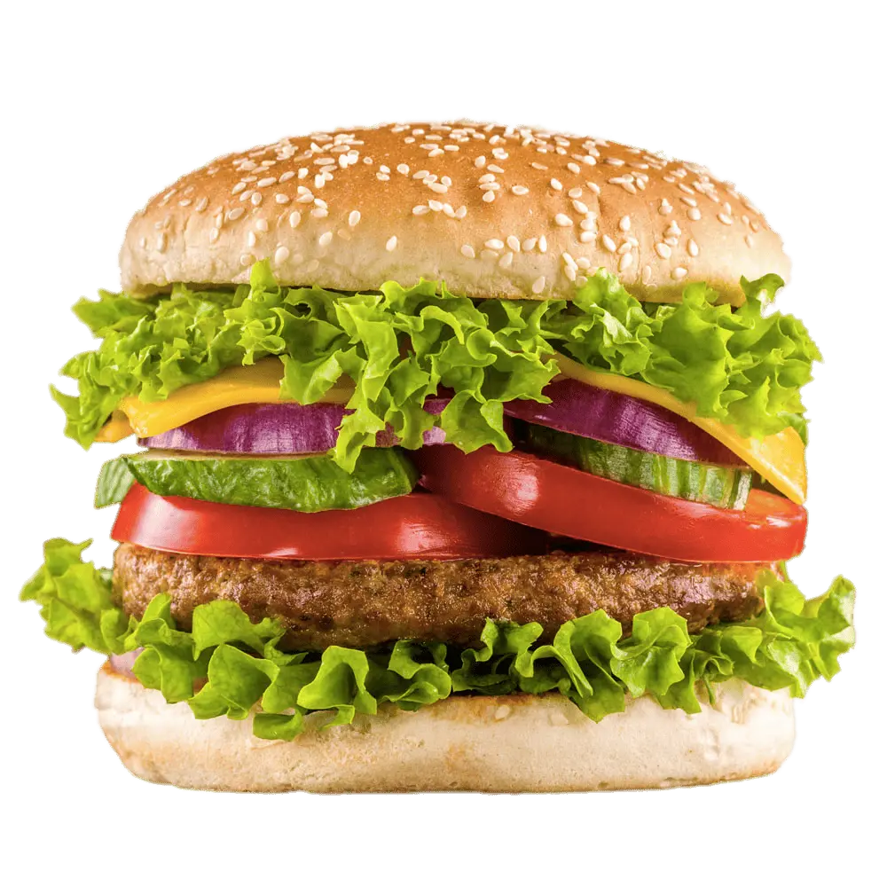 Veggie Burger