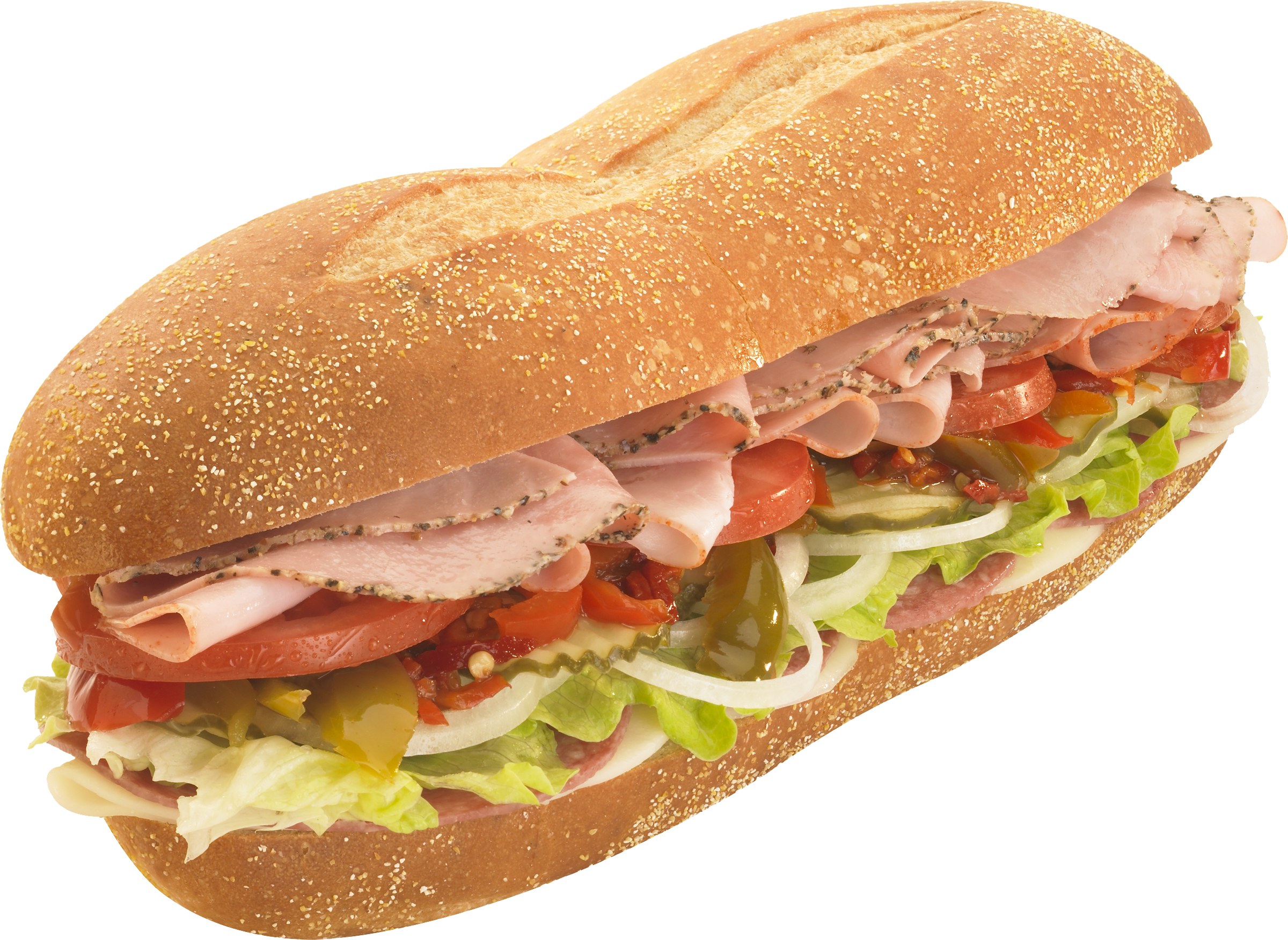 Spicy Deli Sub